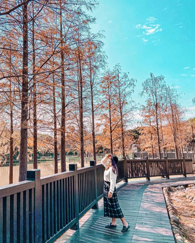 - 全台落羽松秘境 全台落羽松秘境|網羅台灣 12 處落羽松森林景點,2020秋冬來場浪漫的落羽松之旅吧! 2021 景點, ▸南投景點, ▸旅遊情報 全台, 搶先看, 景點, 秋冬, 秘境, 落羽松 2021