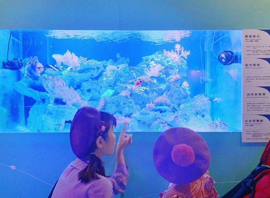 基隆海科館 海洋科技博物館,海洋博物館,展覽 基隆海科館 海洋科技博物館,海洋博物館