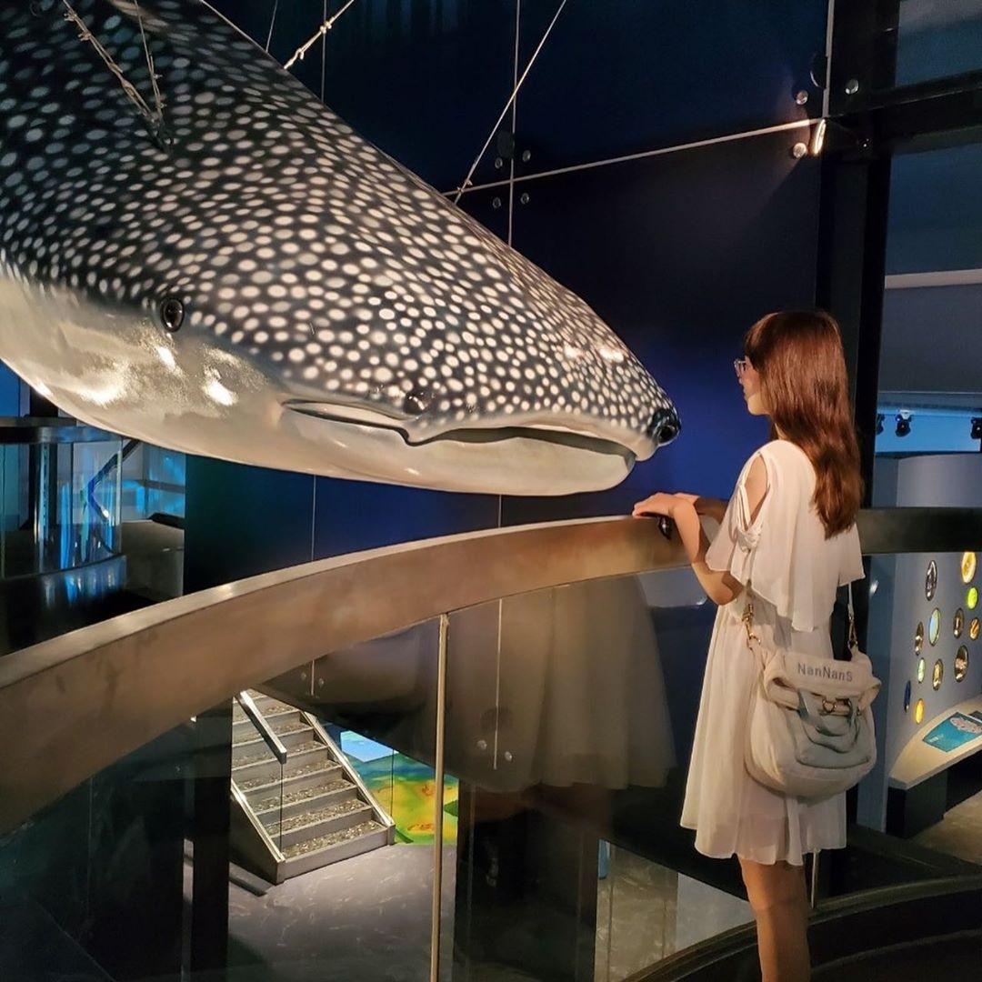 基隆海科館 海洋科技博物館,海洋博物館 展覽活動 基隆海科館 海洋科技博物館,海洋博物館 展覽活動