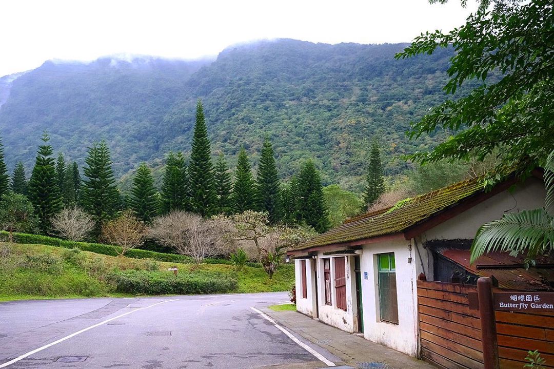 東部森林遊樂區推薦 