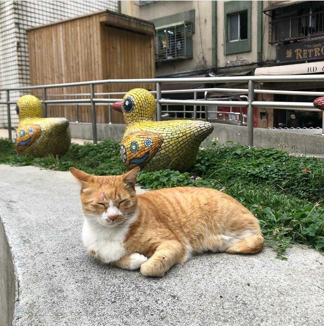 台北景點推薦台北當代藝術館！必看展覽、四大參觀路線、門票資訊 16 2024