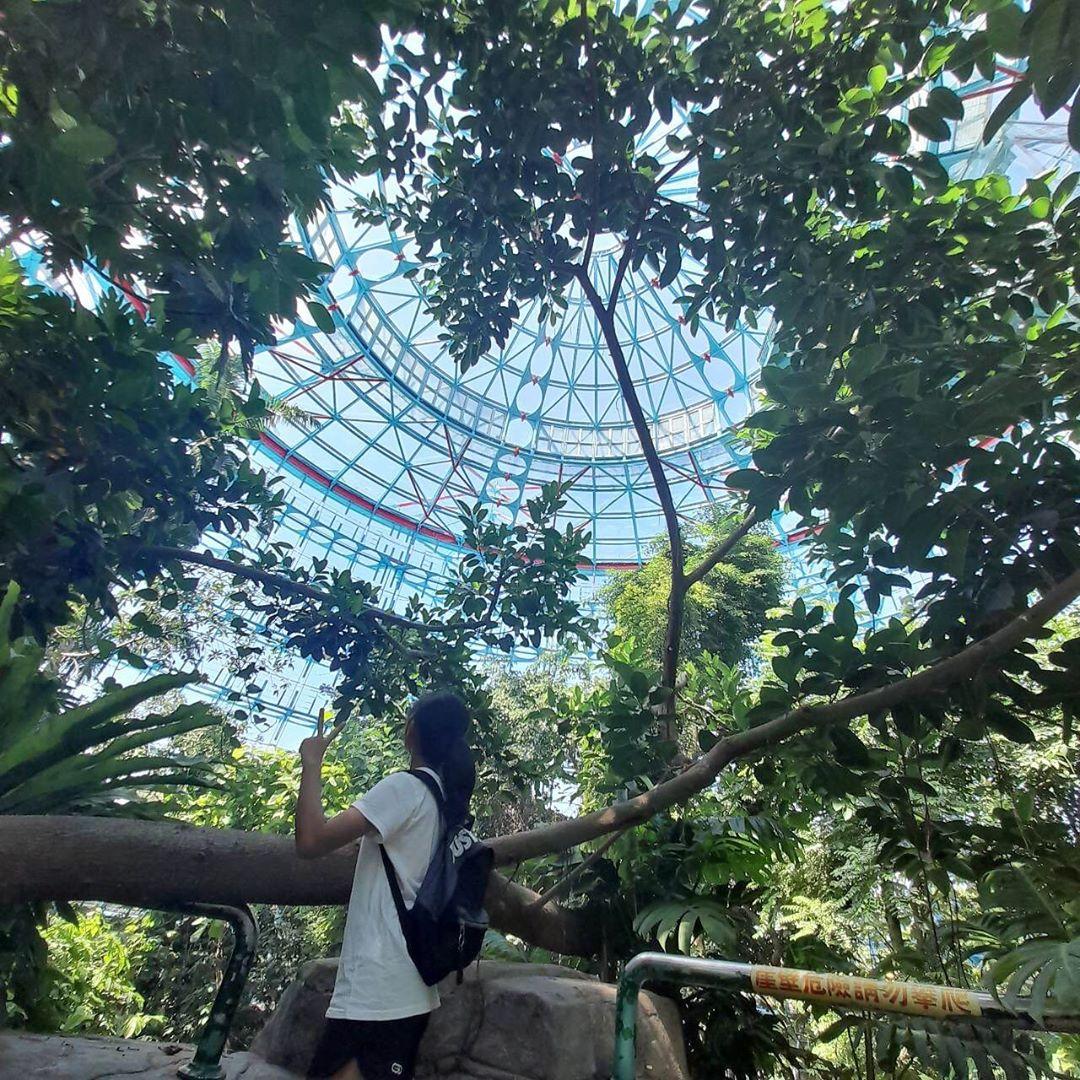 台中科博館 植物園,台中科博館,科博館, 國立自然科學博物館, 科學教育博物館, 自然科學博物館, 台中科學博物館, 科學博物館, 國立科學工藝博物館, 台中自然科學博物館, 科工館展覽, 科學工藝博物館, 台中科博館木乃伊, 台中科博館門票, 台中科博館門票費, 科博館台中, 台中科博館恐龍, 台中恐龍博物館, 台中國立自然科學博物館, 台中科學博物館門票, 台中市科博館, 台中科工館, 工藝博物館, 台中科博館恐龍展2023, 科學博物館台中, 臺中科博館, 台中科博館一日遊, 台中科教館, 立體劇場, 台中科博館介紹, 台中科博館停車場, 台中科博館停車, 台中科博館太空劇場, 台中自然科學博物館門票, 國立科學工藝博物館門票, 台中科博館展覽, 台中科博館植物園, 國立科學工藝博物館南館, 藝術科學博物館, 自然科學博物館台中, 台中科博館營業時間, 國立工藝博物館, 台中自然博物館, 台中科學館, 國立科工館, 國立科學工藝博物館相片, 台中科博館交通, 國立科學工藝博物館介紹, 台中火車站到科博館, 台中科博館捷運, 台中科博館立體劇場, 臺中科學博物館, 台中市科學博物館, 台中科博館內餐廳, 台中北區館前路國立自然科學博物館,