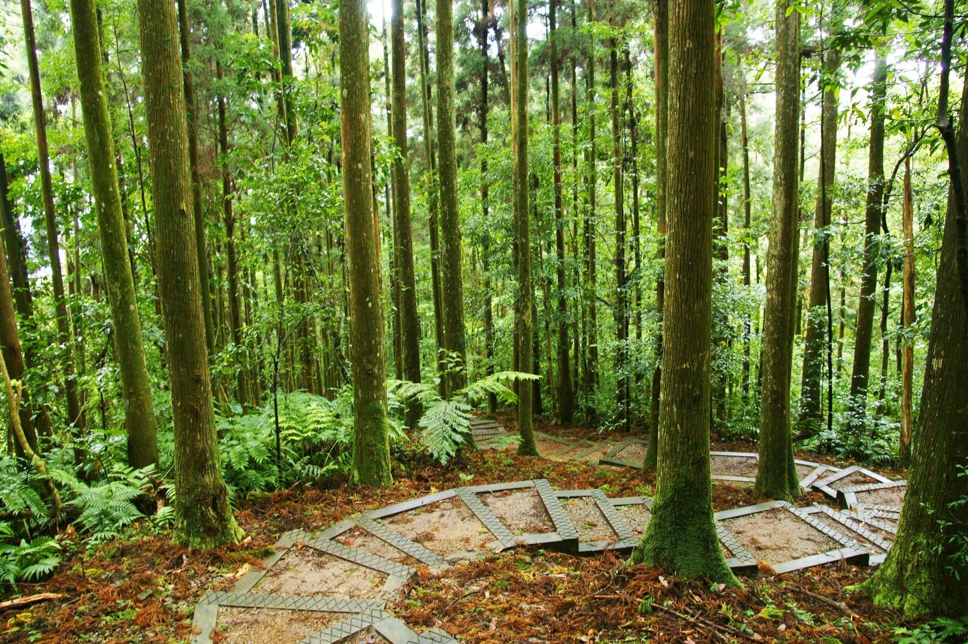 北部戶外活動 ｜四大「活博物館」推薦，超放電親子景點一日遊 7 2024