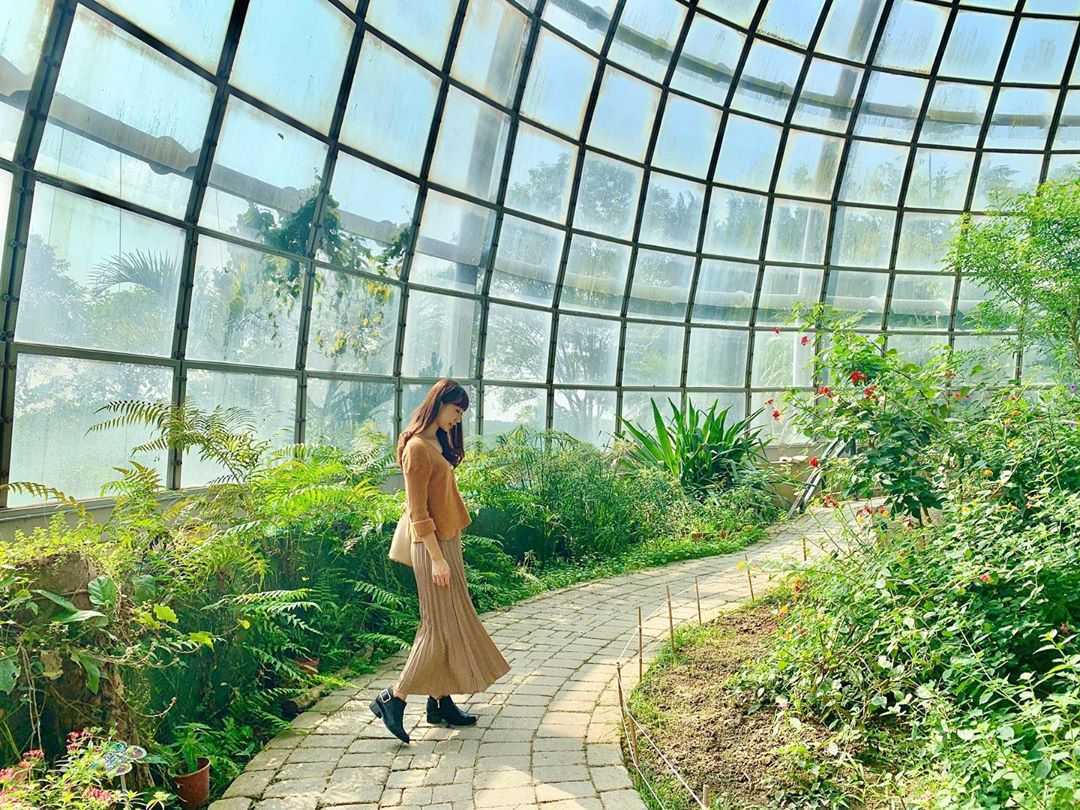嘉義景點-新嘉大昆蟲館 嘉義景點-新嘉大昆蟲館