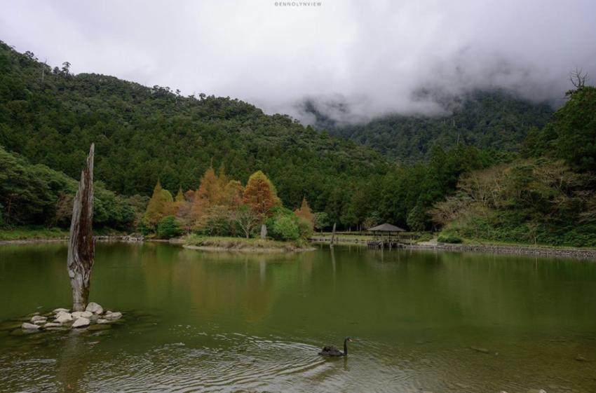 - 全台落羽松秘境 全台落羽松秘境|網羅台灣 12 處落羽松森林景點,2020秋冬來場浪漫的落羽松之旅吧! 2021 全台落羽松秘境