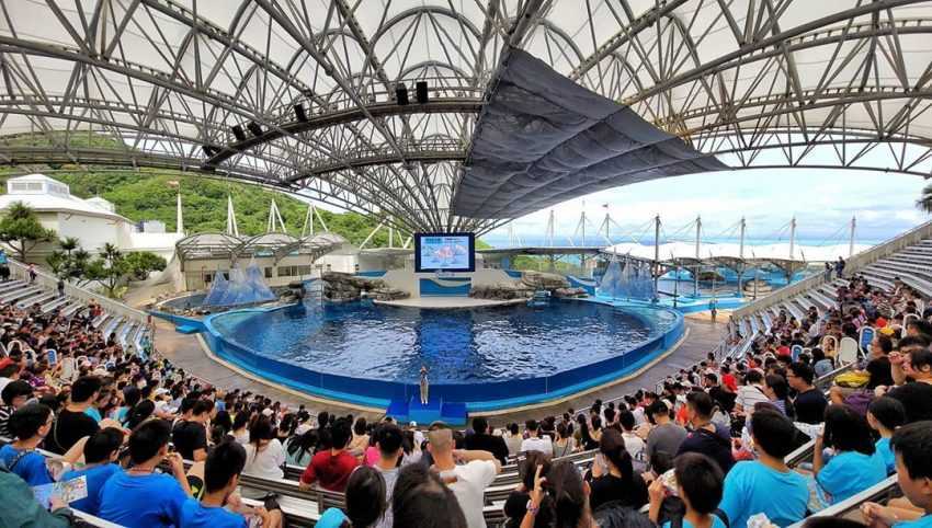 遠雄海洋公園 遠雄海洋公園|海洋劇場表演秀