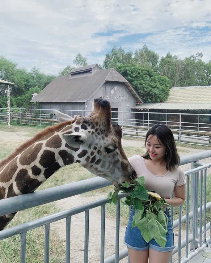 - 頑皮世界 台南頑皮世界攻略【餵食水豚君、長頸鹿親親、草泥馬零距離接觸】 2022 ▸旅遊情報, ▸台南景點, 景點, 遊程 動物園, 台南, 台南動物園, 台南頑皮世界, 喃喃景點, 水豚, 水豚君, 遊樂園, 野生動物園, 門票, 頑皮世界, 頑皮世界野生動物園 2022