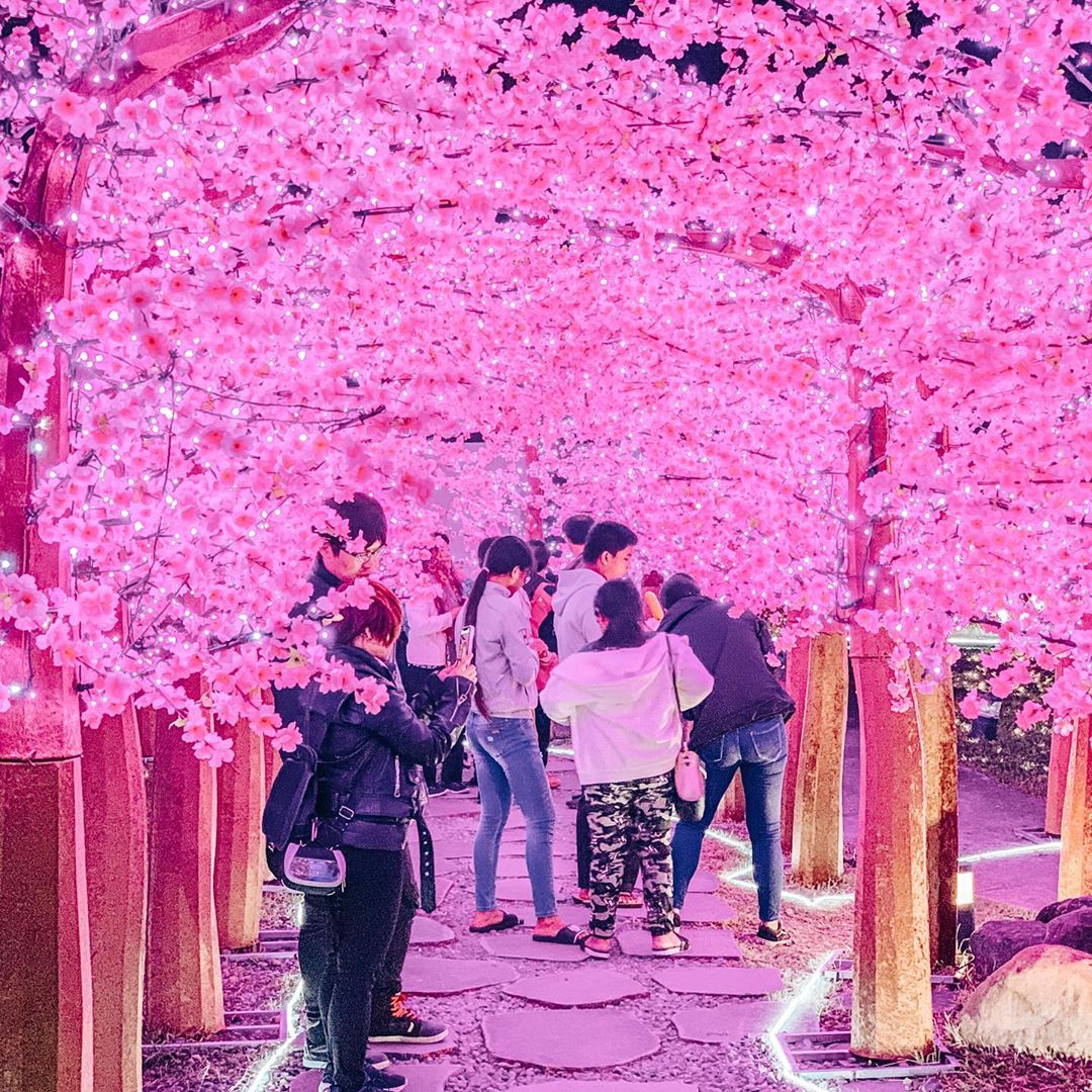 四重溪溫泉公園|絢麗燈海超浪漫!住宿湯屋推薦、交通管制接駁車、美食、景點攻略總整理 四重溪溫泉公園|絢麗燈海超浪漫!住宿湯屋推薦、交通管制接駁車、美食、景點攻略總整理