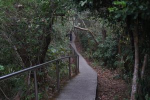 韓劇線上看 彰化藤山步道、臥龍坡步道踏青半日遊，適合喜歡Outdoor的你《融融歷險記 Ben’s Adventure 》 9 2023