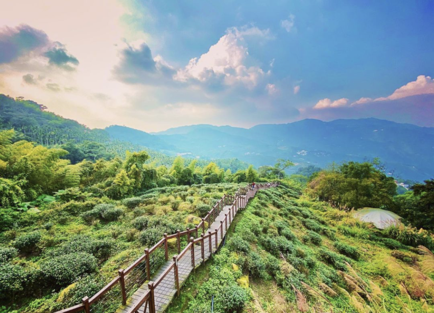 阿里山景點推薦, 太興岩步道有小萬里長城之稱的【太興岩步道】，是條美景盡收又不費力的羽量級步道喔！ 只要停好車就能抵達有【小萬里長城】美譽的太興岩步道，沿著步道往前走還會進入靜謐的竹林，自然生態豐富夏日還可以免於日曬，步道頂端的觀景臺更有一望無際的美景，是個放空拍照的好地方；因為步道全長不到一公里，來回只需一小時即可征服，是一處適合半日遊的阿里山景點。