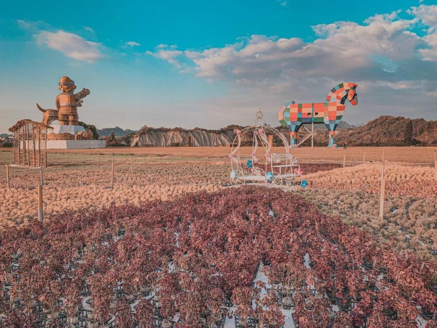 這個台南親子景點原為種草起家，漸漸轉型成休閒農場，因此在佔地高達120公頃的園區裡，就有三分之一是充滿紐西蘭放牧異國風的牧草草原，在這邊野餐、奔跑等享受無限的大自然洗禮超自由的。身為農場當然少不了可愛動物們，有別於一般農場的乳牛，這邊低頭吃草的是沒有斑點的肉牛，另外還有高達30項有趣的遊樂設施，最後還可以在這邊過夜，包含度假木屋、度假旅館，甚至還有國際三星認證的露營區，是來台南另一處家庭親子踏青好地方喔。園區內有約30種的設施可以玩，有復古的機械設施如「天鵝船」、「電動碰碰船」等，還有體能類的如超人氣的「推牧草球」、「射箭」、「山訓場」、「高爾夫」等，另外在每年的4月～10月還會開放「戲水世界」供大小朋友夏日消暑，最後當然不能錯過「可愛動物區」，看看療癒的牛、羊、鴕鳥、孔雀等舒展筋骨。