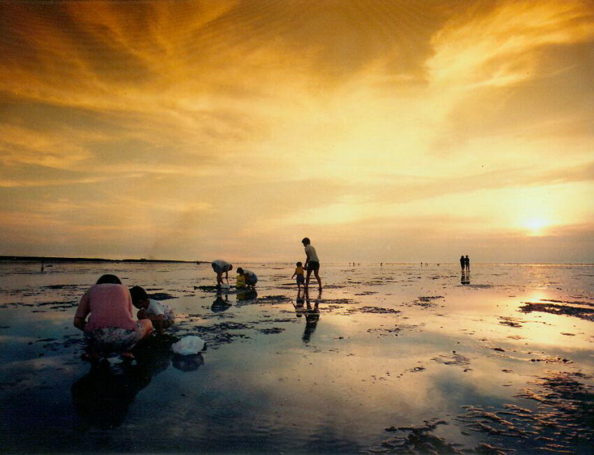 台灣優格餅乾學院|台版霍格華茲餅乾DIY,彰化免門票觀光工廠&交通資訊,彰化免費景點 台灣優格餅乾學院|台版霍格華茲餅乾DIY,彰化免門票觀光工廠&交通資訊,彰化免費景點