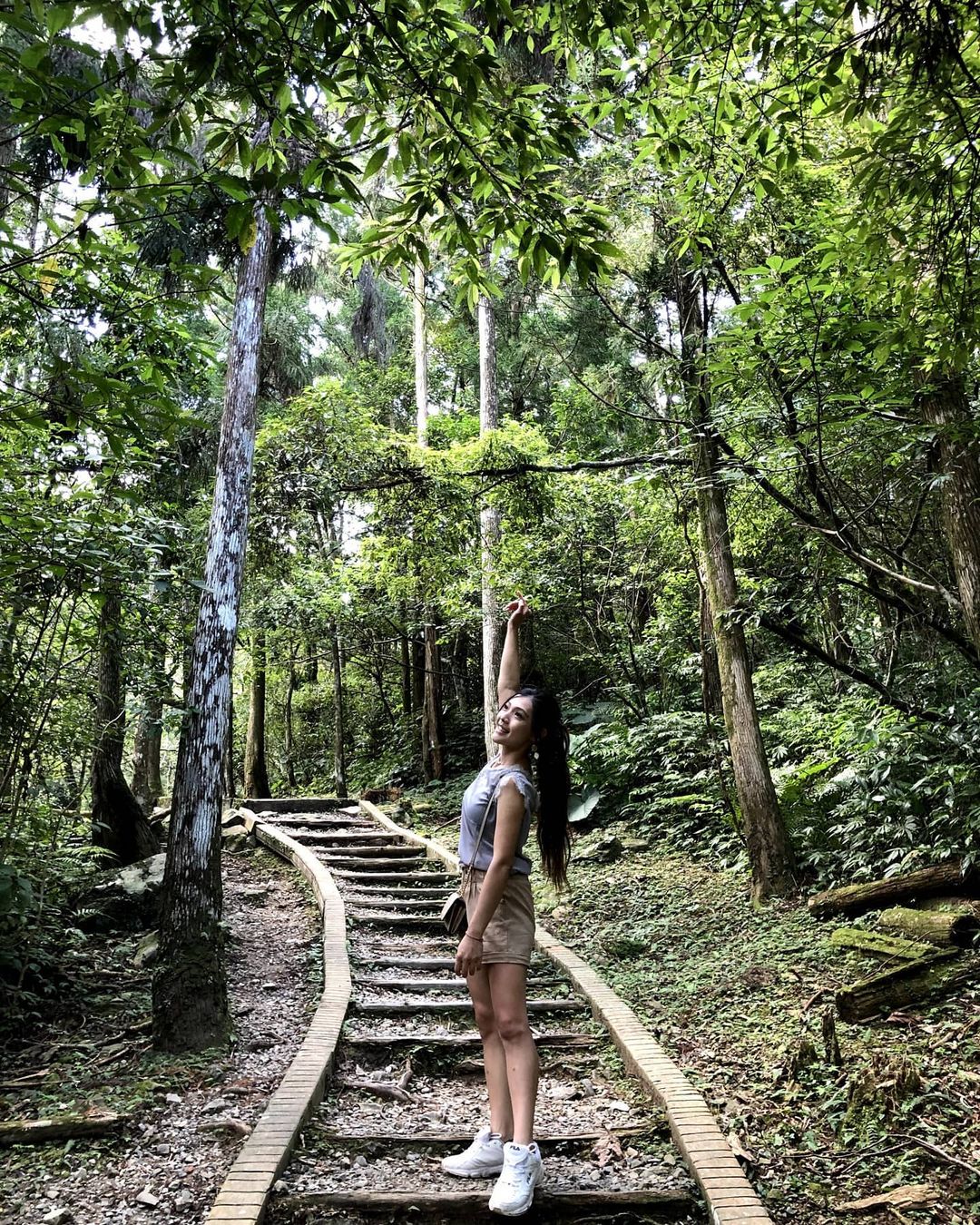 貓空夜景 滿月圓森林遊樂區|新北三峽絕美步道、瀑布,森遊區親子館帶你認識大自然|門票、交通 滿月圓森林遊樂區 2023 滿月圓森林遊樂區|園區景點|遊客中心親子館 (溪流館/蝴蝶館/森林館)|森林館|滿月圓森遊區為中低海拔山區,園區內為大部份的天然闊葉林,及小部份的人工柳杉林,由於此區開發較晚,雖然也有被砍伐的痕跡,但大部份林相仍保護良好,森林樹種多樣,樟樹、香楠、櫟樹、楓香,每當秋冬之際,部份樹種開始變色,使得園區染上綠、黃、紅等繽紛色彩,好不美麗。