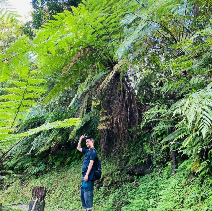 圖片授權:IG @0310henry 北宜公路景點