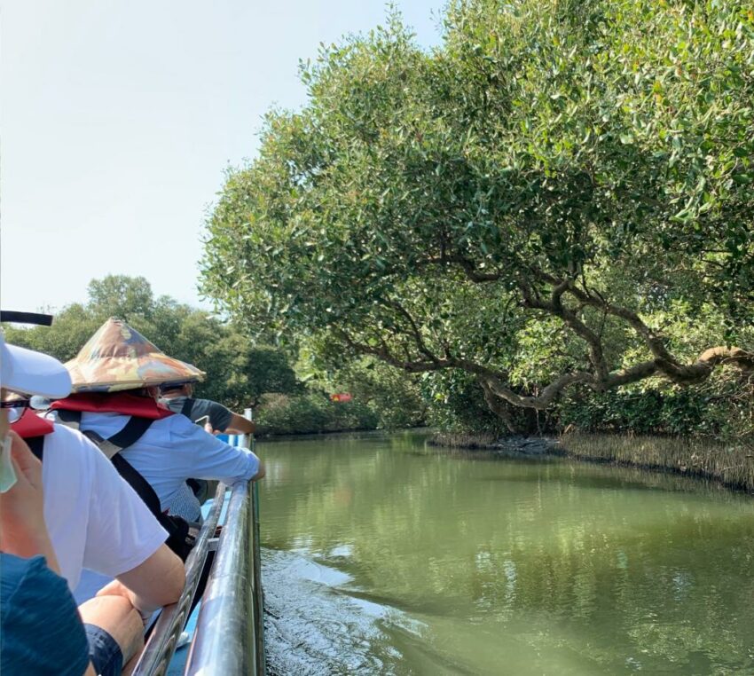 台南四草綠色隧道，台版亞馬遜河、預約船票、交通指南、附近景點懶人包 9 2024