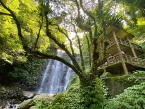 新北耶誕城 滿月圓森林遊樂區|新北三峽絕美步道、瀑布,森遊區親子館帶你認識大自然|門票、交通 2022 滿月圓森林遊樂區|新北三峽絕美步道、瀑布,森遊區親子館帶你認識大自然|門票、交通 2 2022