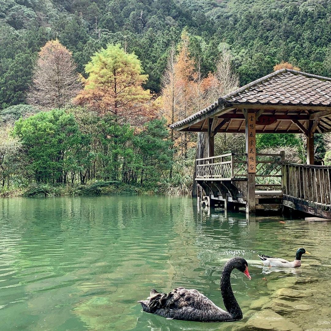 【2024馬告生態園區】宜蘭明池、棲蘭森林景點(門票、交通、山莊住宿) 2 2024