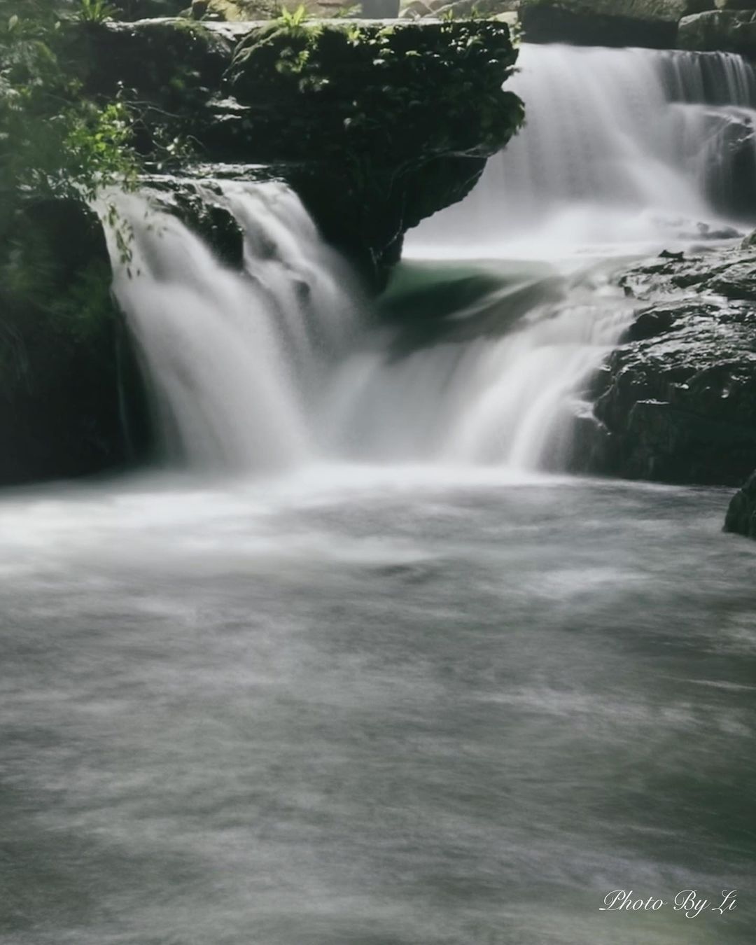 滿月圓森林遊樂區 滿月圓森林遊樂區|園區景點|滿月圓瀑布|走在前往滿月圓瀑布前的「滿月小橋」,便能聽見轟隆的瀑布水聲,足以想像滿月圓瀑布的水量之大,但在瀑布前有塊十多公尺的大石塊遮擋了瀑布上方視野,使得滿月圓瀑布只能分段欣賞,而不若處女瀑布那般令人震撼。由於瀑布被石塊分割成數段,加上觀景台距離瀑布較遠,相較於處女瀑布的氣勢非凡,滿月圓瀑布更顯得姿態婀娜、煙波飄渺。