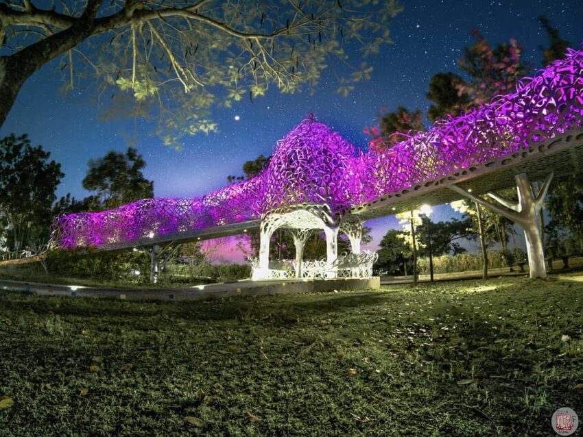 嘉義夜景推薦10大嘉義晚上好去處，百萬夜景、滿天星斗、情侶約會最佳景點 11 2024