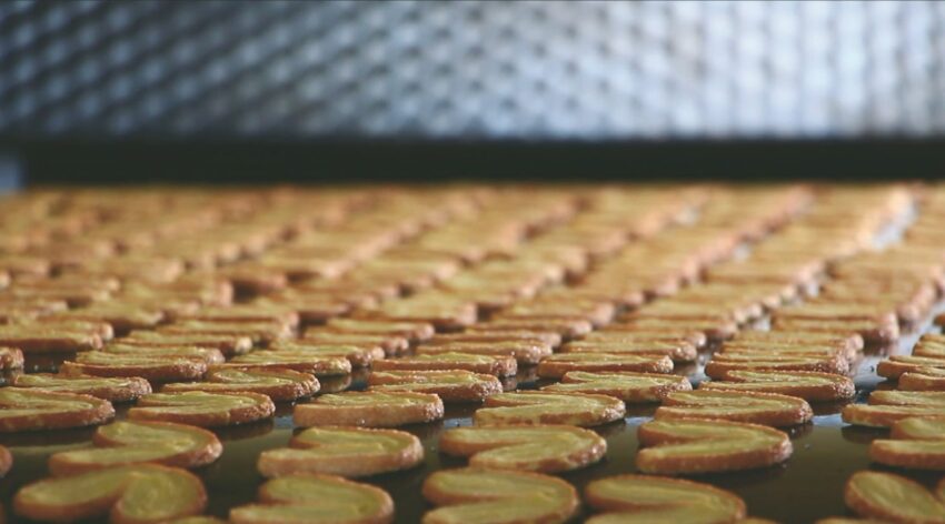 台灣優格餅乾學院|台版霍格華茲餅乾DIY,彰化免門票觀光工廠&交通資訊,彰化免費景點 台灣優格餅乾學院|台版霍格華茲餅乾DIY,彰化免門票觀光工廠&交通資訊,彰化免費景點