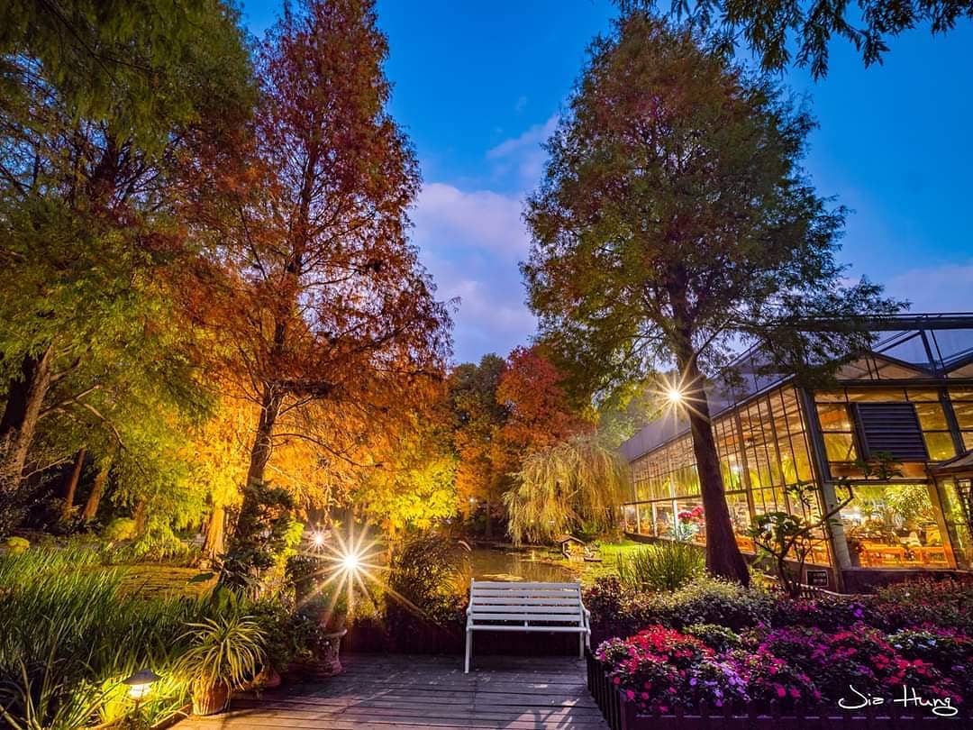 菁芳園 菁芳園｜浪漫落羽松、湖畔玻璃屋花園景觀餐廳、超夯彰化拍照打卡景點 9 2024