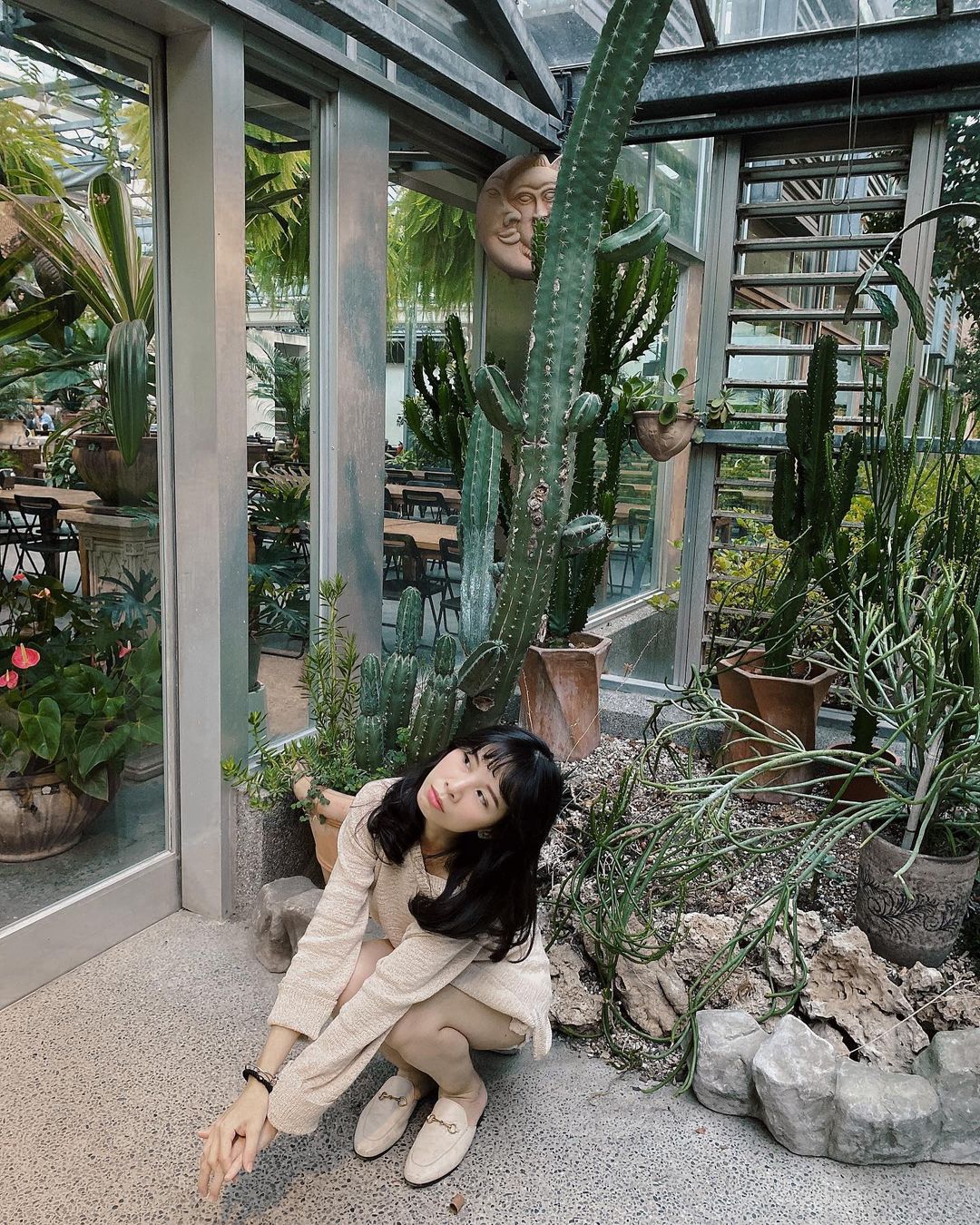 菁芳園｜浪漫落羽松、湖畔玻璃屋花園景觀餐廳、超夯彰化拍照打卡景點 1 2024