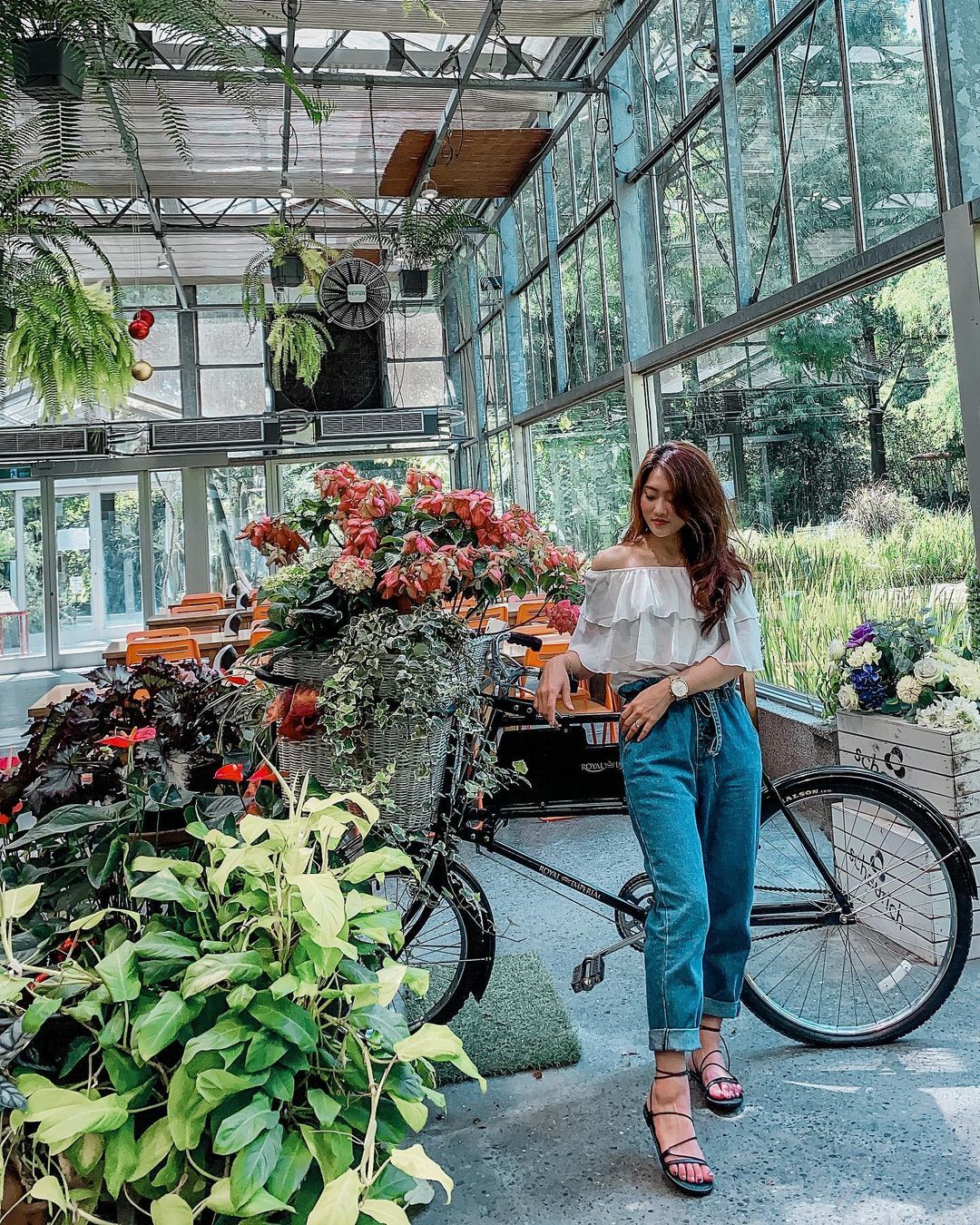 菁芳園 菁芳園|浪漫落羽松、湖畔玻璃屋花園景觀餐廳、超夯彰化拍照打卡景點 菁芳園 2023 菁芳園