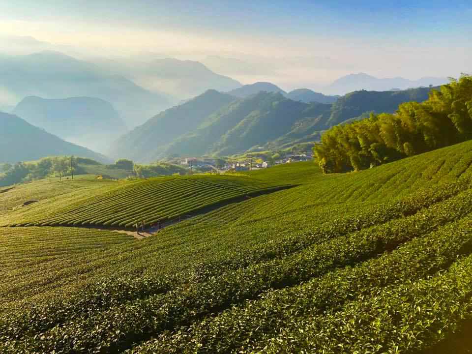 阿里山景觀民宿