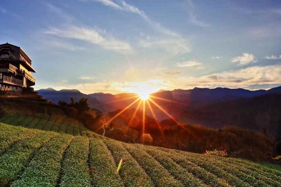 阿里山景觀民宿