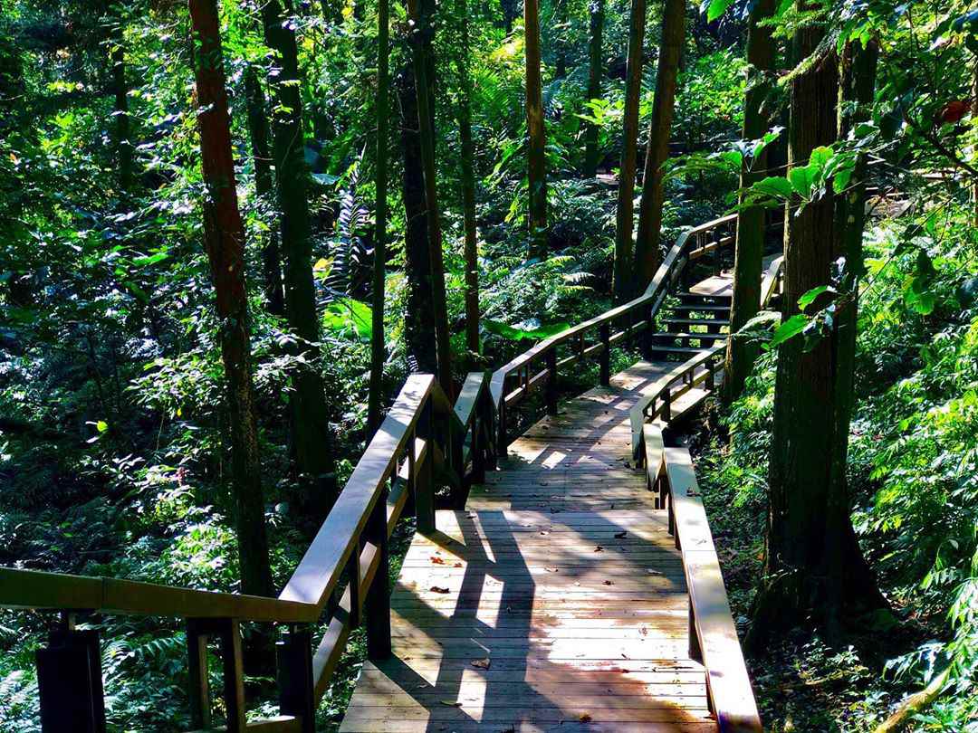 土匪山生態園區 土匪山生態園區