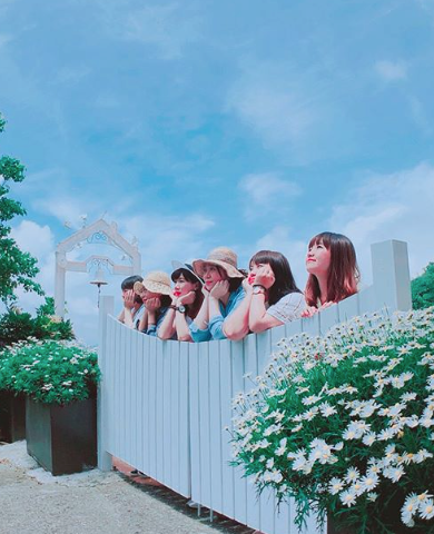 阿里山二日遊 阿里山二日遊 | 台灣好行阿里山線 x 交通搭乘攻略 x 小資精省輕旅行篇 3 2025
