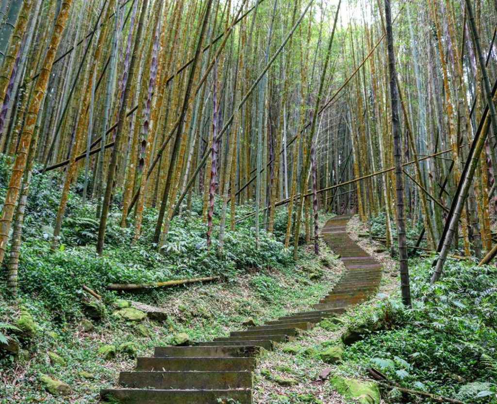 奮起湖步道