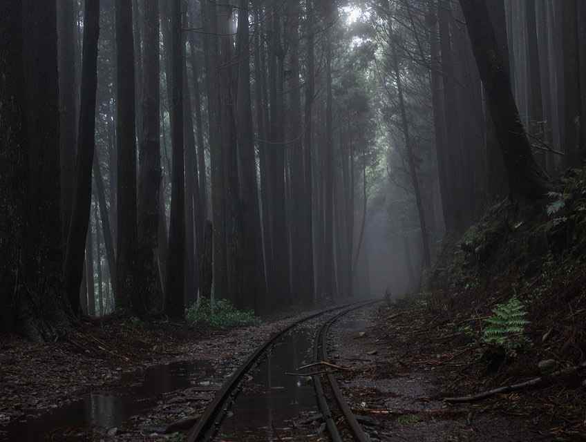 阿里山眠月線 大塔山步道 阿里山眠月線 大塔山步道
