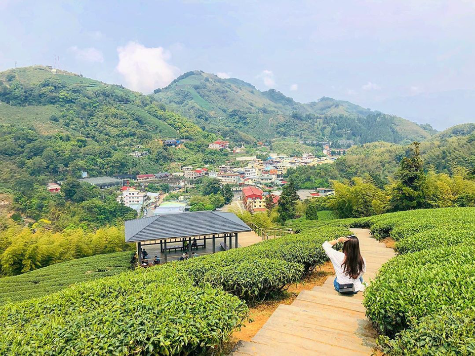 嘉義梅山一日遊 雲之南步道 嘉義梅山一日遊 雲之南步道