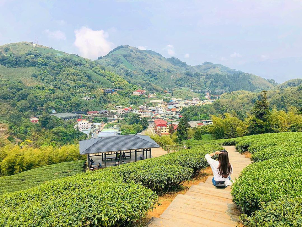 嘉義梅山一日遊 雲之南步道