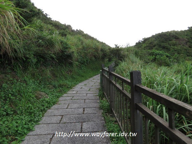 瑞芳步道 | 勸濟堂-無耳茶壺山-半平山-草山戰備道-百二崁古道-黃金地質公園-黃金博物館O形