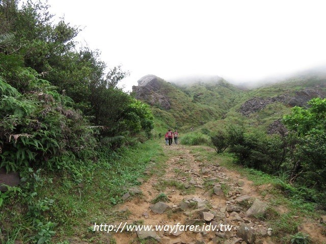 瑞芳登山步道一日遊茶壺山金瓜石山路土石步道