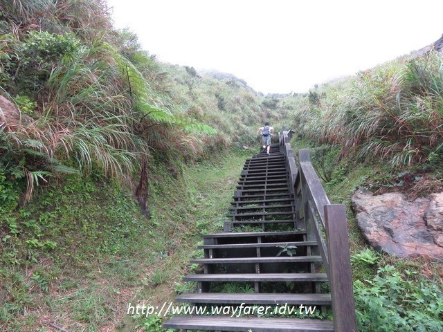 瑞芳登山步道一日遊茶壺山金瓜石山路