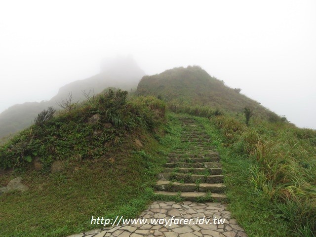 瑞芳登山步道一日遊茶壺山金瓜石山路