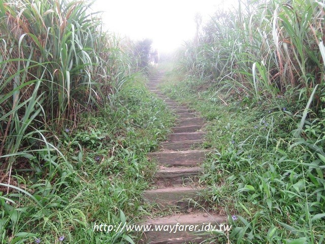 瑞芳登山步道一日遊茶壺山