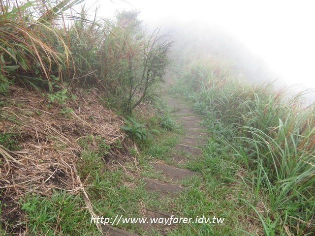 瑞芳登山步道一日遊枕木道路