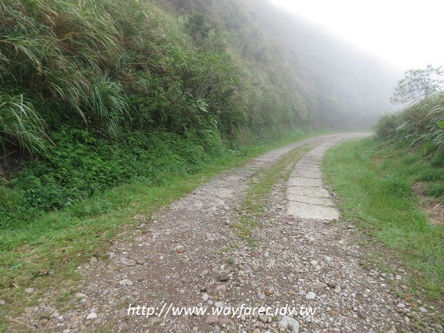 瑞芳登山步道一日遊戰備道