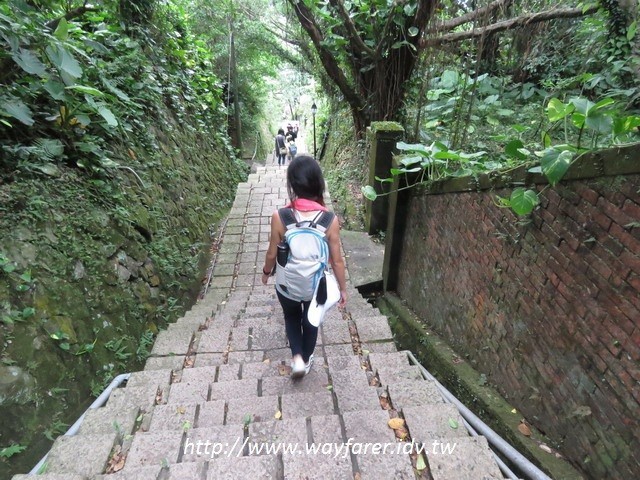 瑞芳步道 | 勸濟堂-無耳茶壺山-半平山-草山戰備道-百二崁古道-黃金地質公園-黃金博物館O形