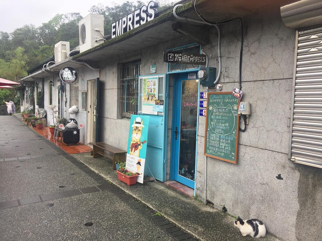 猴硐貓村 猴硐Empress Gallery 貓散步