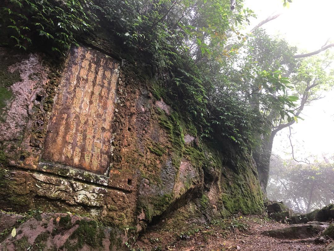 新北登山步道｜金字碑古道｜鄰近猴硐貓村