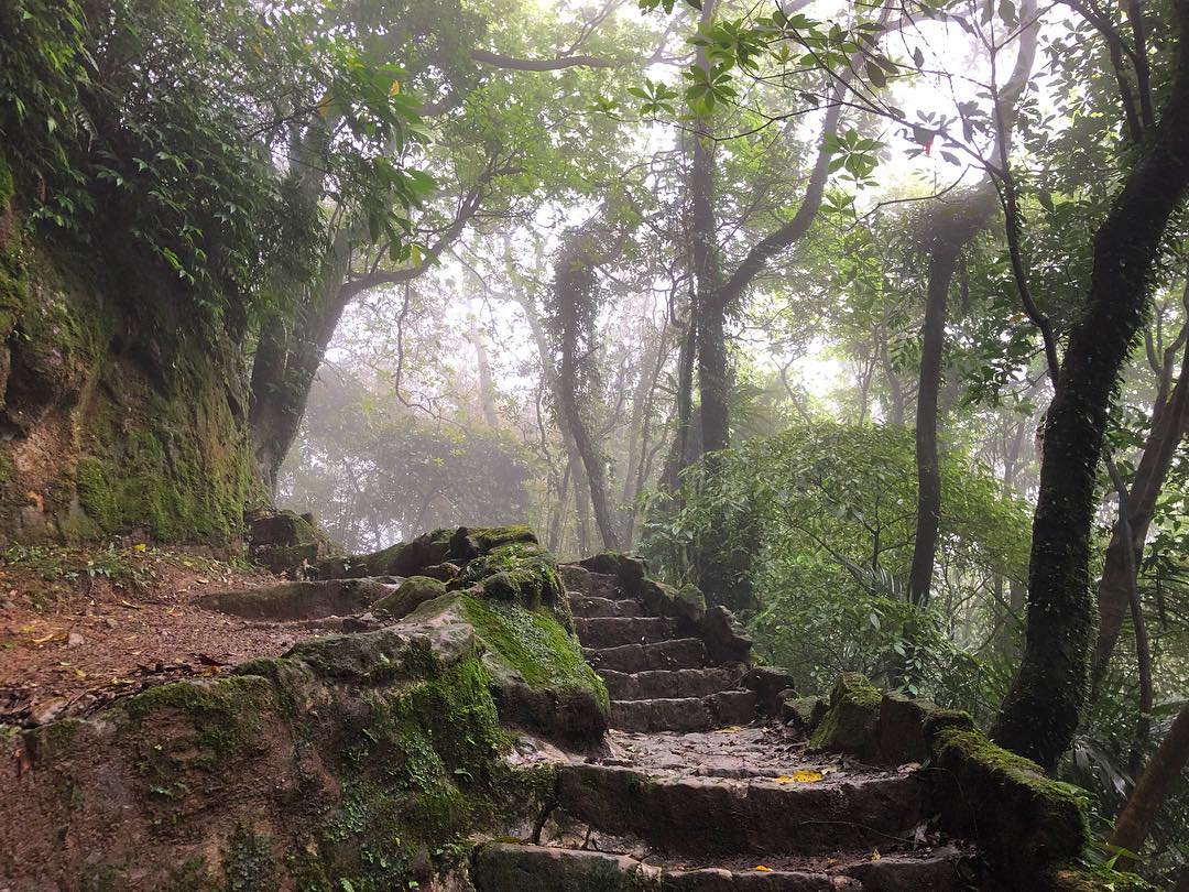 新北登山步道｜金字碑古道｜鄰近猴硐貓村