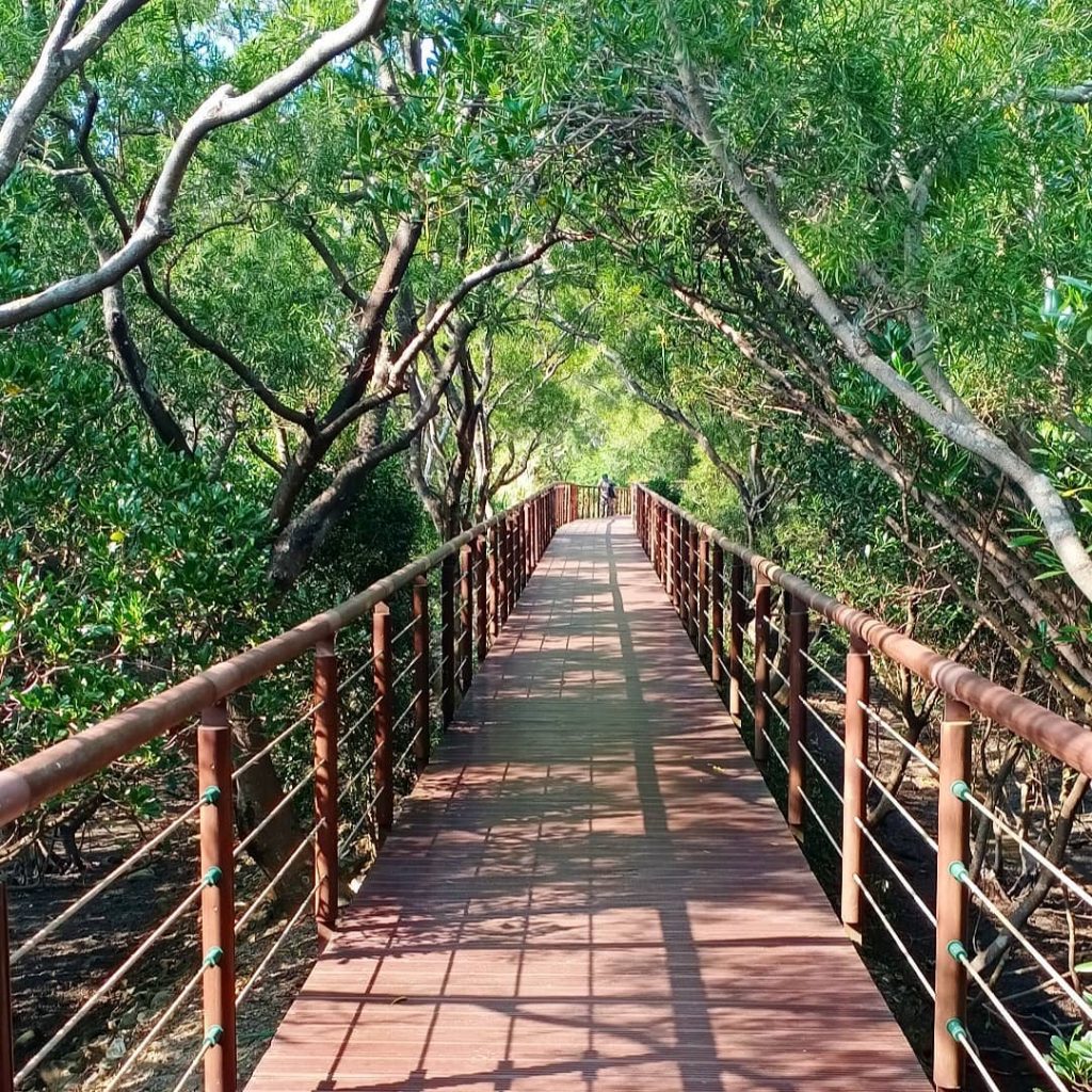 紅樹林生態步道,紅樹林站,淡水景點,淡水,淡水一日遊2020