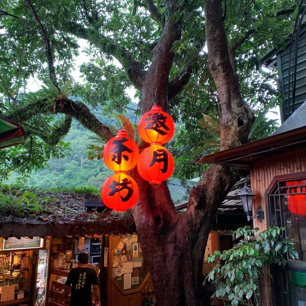 貓空喝茶,貓空泡茶,景觀餐廳,貓空,文山,邀月茶坊