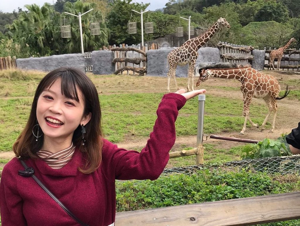 台北景點｜貓空一日遊 木柵動物園