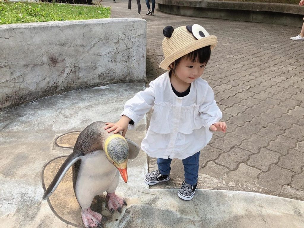 動物森友會村民 | 動物森友會真實版，揭密現實中的動物角色竟然是這樣！！ 4 2024